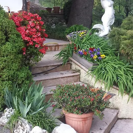 Al Cedro Bed & Breakfast